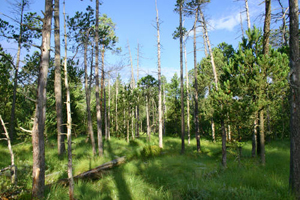 árské vrchy