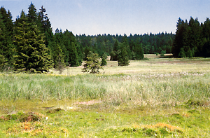 árské vrchy