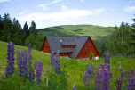 Kr�lov�hradeck� kraj / Hotel Alpina